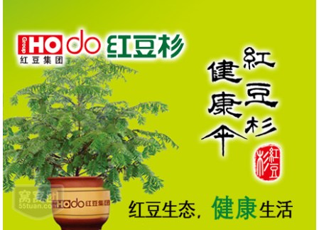 紅豆杉健康館的圖標(biāo)