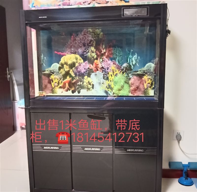 出售魚缸